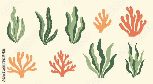 Vibrant seaweed and coral reef elements in various shapes and colors on light beige