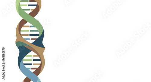 A stylized, colorful representation of a DNA double helix structure, showcasing its intricate molecular composition and scientific significance.