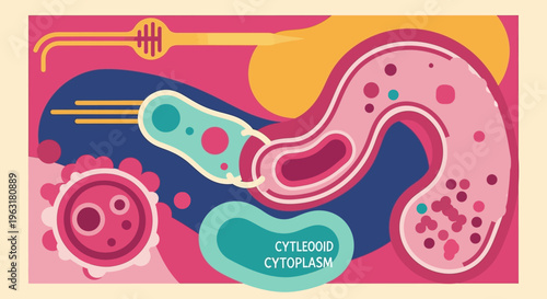 Microscopic view of a bacterium interacting with a host cell, illustrating cellular processes and structures.