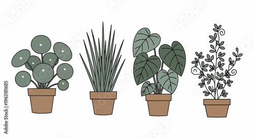 Four different houseplants in pots on a plain surface for decoration and gardening inspiration