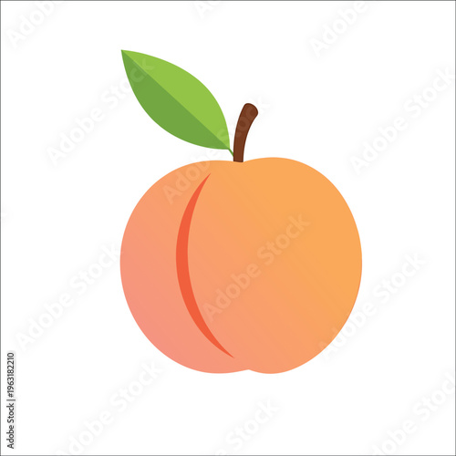 Fresh peach fruit vector illustration, ripe orange peach with green leaf, minimalist organic food icon isolated on white background
