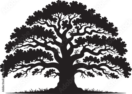 Intricate silhouette of mature oak tree, full canopy, powerful trunk, complex branching structure, visible roots, grassy base, clear background, detailed vector art