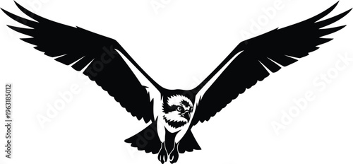 Silhouette of an osprey bird in flight with wings spread, predatory bird, wildlife, nature, freedom, avian