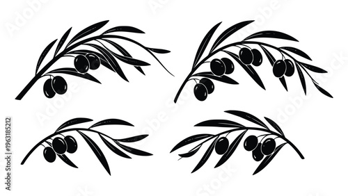 Black olive branches with leaves and berries on white background