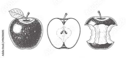 Whole apple cut in half and bitten apple in style core