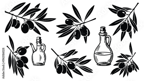 Black and white illustration of olive branches with olives and oil bottles