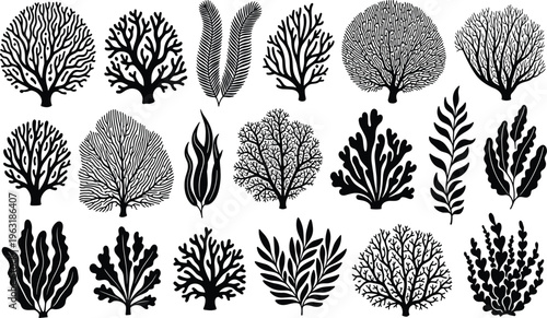Abstract coral reef silhouettes collection, marine seaweed botanical shapes, black vector illustration, ocean flora design elements, cad drawing flat illustration