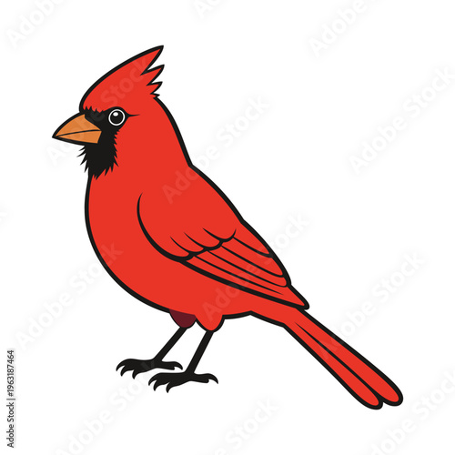 cardinal mascot logo design vector template