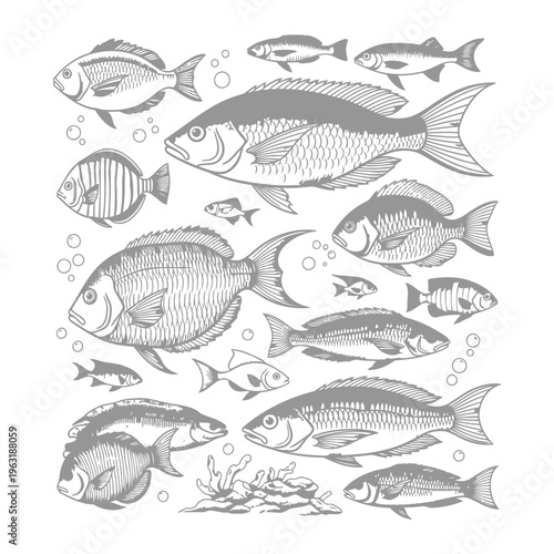 Hand-drawn fish school aquatic animals