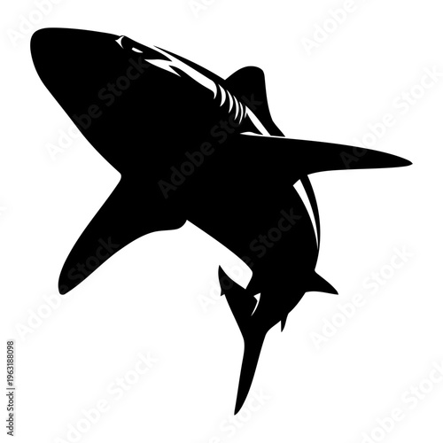 Shark silhouette graphic with apex predator