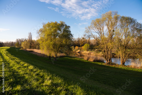 Wallpaper Mural Flusslandschaft am Rhein Torontodigital.ca