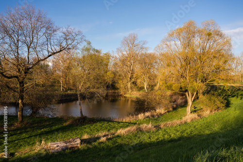 Wallpaper Mural Flusslandschaft am Rhein Torontodigital.ca