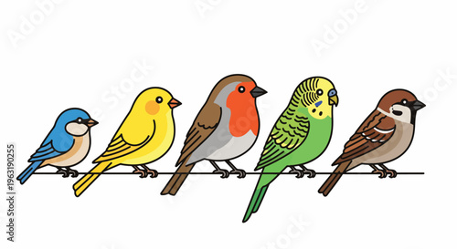 Five diverse avian creatures are lined up next to each other upon a perch, showcasing different plumage and sizes, making this arrangement visually engaging for nature enthusiasts and design
