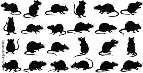 Bild auf Leinwand Black silhouette collection of rats and rodents in various poses featuring stand