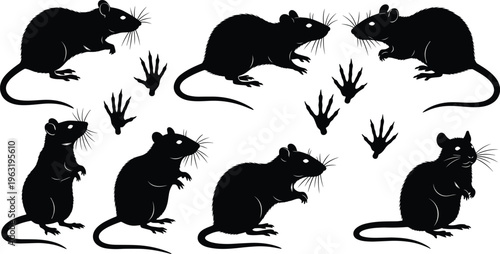 Diverse collection of black rat silhouettes in various poses with realistic paw print track marks isolated on white background for pest control design