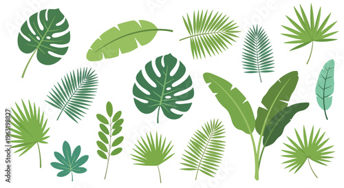 Collection of various green tropical leaves on white background
