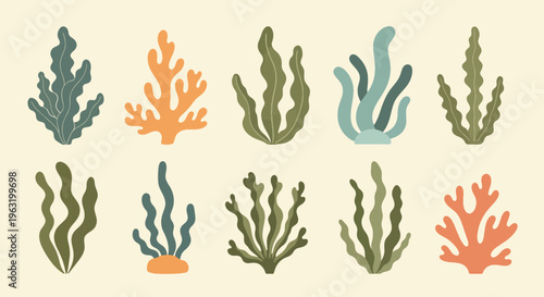 Collection of colorful coral reef elements in various shapes