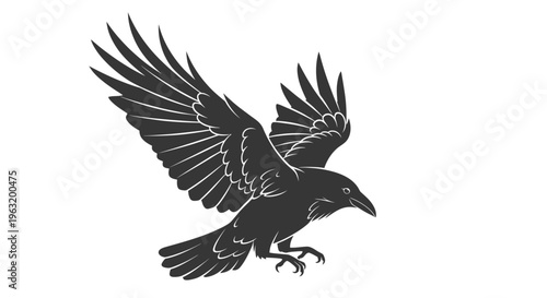 Black silhouette of flying raven bird.