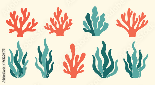 Colorful coral and seaweed marine life illustrations on cream background
