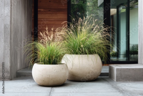 Planters with tall grass placed near a modern house entrance during daylight, showing a simple landscaping design that blends with the surrounding architecture