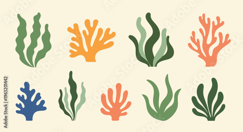 Collection of colorful coral reef elements in various shapes