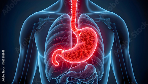 Hiatal Hernia Concept, Stomach Partially Moving Into Chest with Glowing Stress, Digestive System Medical Illustration, Realistic Anatomy 8K No Face Poster