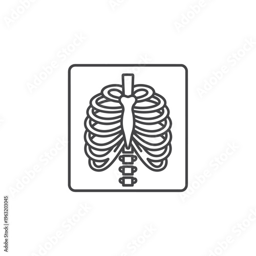Human Ribcage Line Drawing Representing Thoracic Skeleton Anatomy