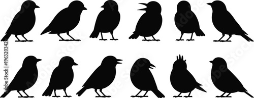 Cinnamon sticks vector set with single and bundled spice rolls for cooking baking food design organic aromatic condiment and seasoning