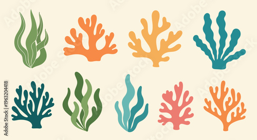 Colorful Coral Reef Elements in Various Shapes and Sizes