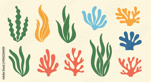 colorful coral reef seaweed ocean aquatic plants