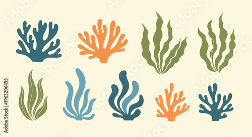 Coral reef seaweed and aquatic plant elements in various colors