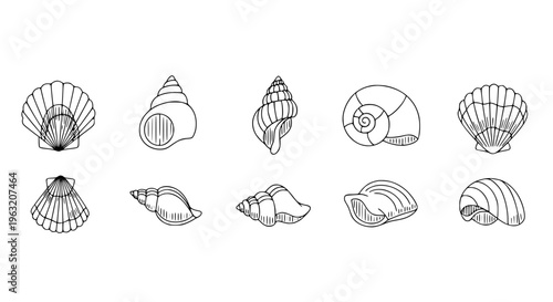 Minimal Seashell Line Art Icon Set Vector with Scallops Whelks and Spiral Shells