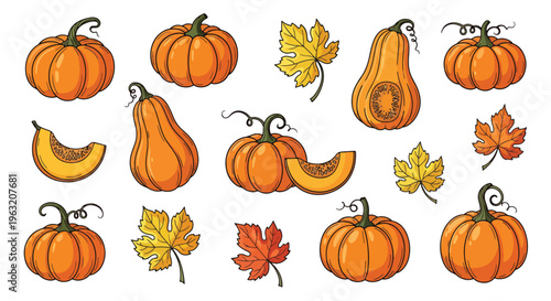 Variety of Pumpkins and Autumn Leaves on White Background
