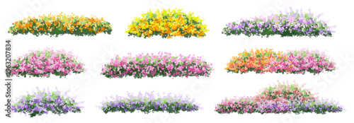 Vertor set of spring blossom tree,bloomimg plants side view for landscape elevation and section,eco environment concept design,watercolor illustration,colorful season