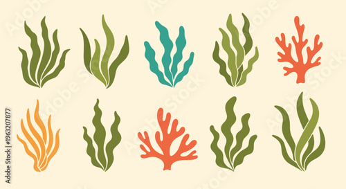 Seaweed and coral reef marine plants on beige background