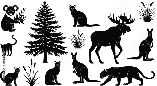Photography Black and white silhouette icon collection of wild animals and nature elements including koala, moose, kangaroo, panther, cats, pine tree, and marsh grass