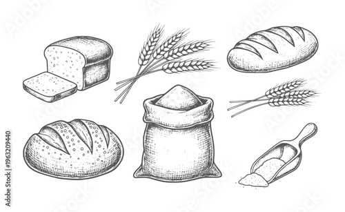 Hand drawn bread wheat and flour collection white sack scoop