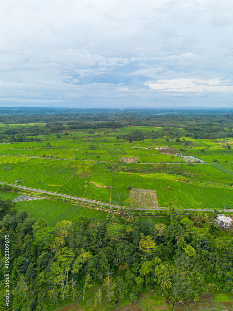Obraz premium Beautiful morning view in Indonesia, panoramic landscape of rice fields with mountain ranges and clear sky