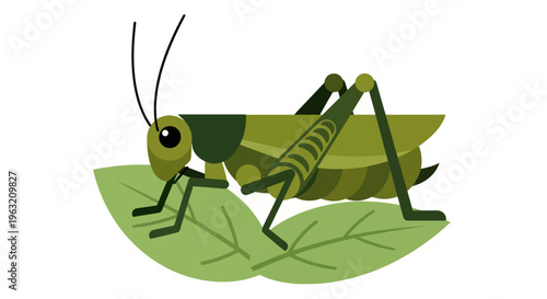 Green grasshopper on a leaf.