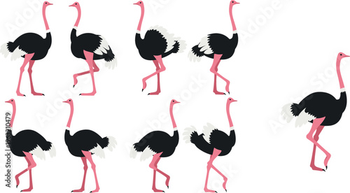 Ostrich Bird Cartoon Collection Vector Set Featuring Walking and Running African Wildlife Characters in Different Poses for Nature and Animal Design Projects