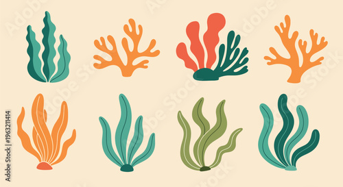 Coral Reef Seaweed and Coral Pieces on Beige Background