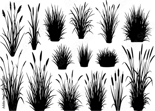 Black grass silhouette collection, 15 marsh plant and reed vector elements, wild meadow grass tufts for landscape design and nature illustrations isolated PNG with Transparent Background