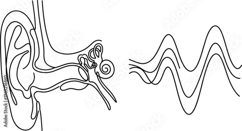 Human, ear, anatomy, sound, waves, hearing, diagram, auditory, system, medical, outline, line, art, education, science, illustration, cochlea, vibration, frequency, concept