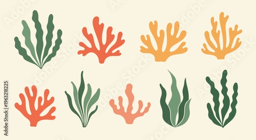 Coral reef elements in orange green on beige background