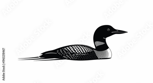 Black and white diving bird with distinctive neck pattern