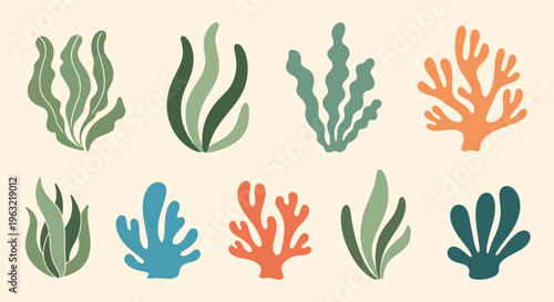 Coral reef elements in various colors on beige background