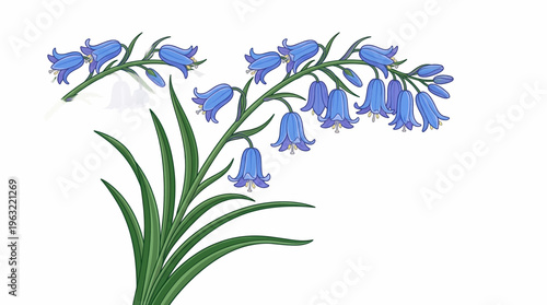 modern floral line art vector illustration of a blooming flower with soft colors