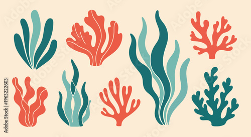 Coral reef elements in a variety of shapes and colors