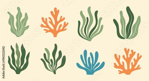 Coral Reef Seaweed Marine Life Ocean Foliage Illustration