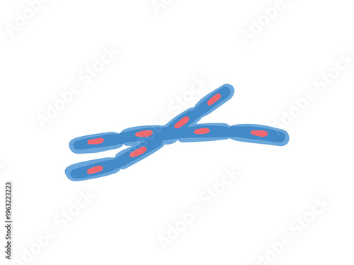 Bacillus Anthracis Virus Illustration